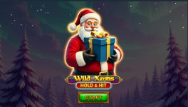 Обзор слота Wild Xmas – Hold & Hit